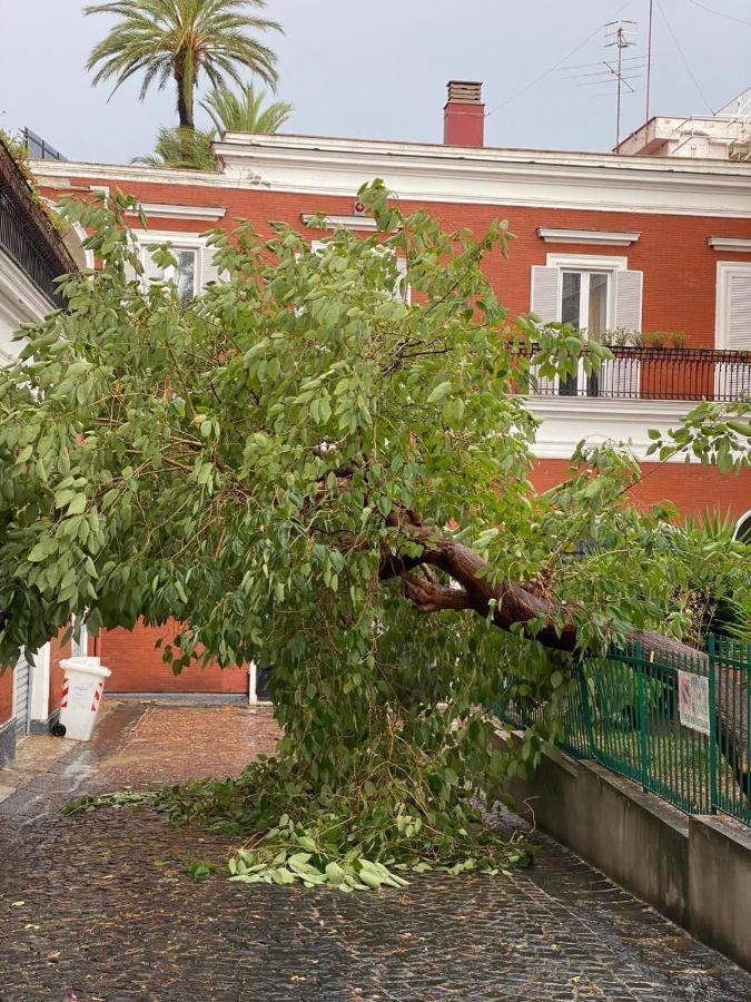 B-Montedidio Otel Napoli Dış mekan fotoğraf
